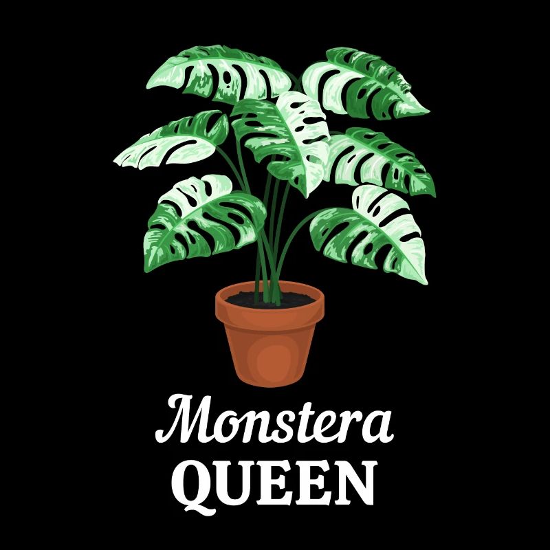 Monstera Queen