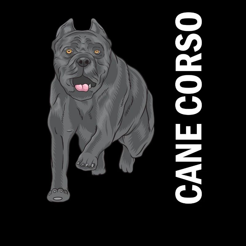 Cane corso