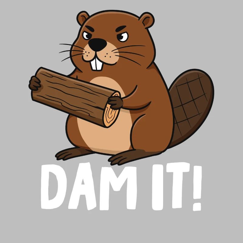 Barrage It