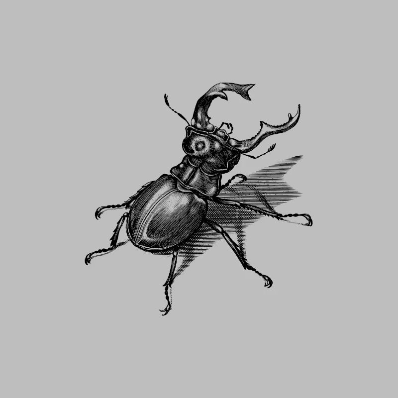 Stag beetle