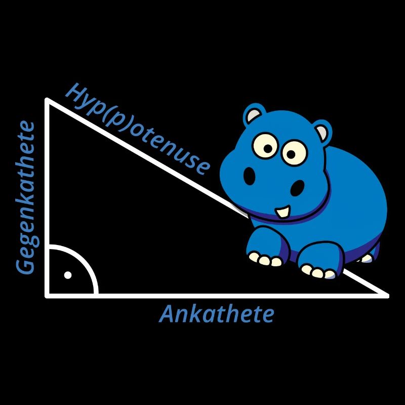 Hippotenuse Pythagoras Mathe Hippo Lehrer Geschenk