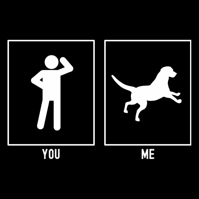 Vous - I - Falling Dog