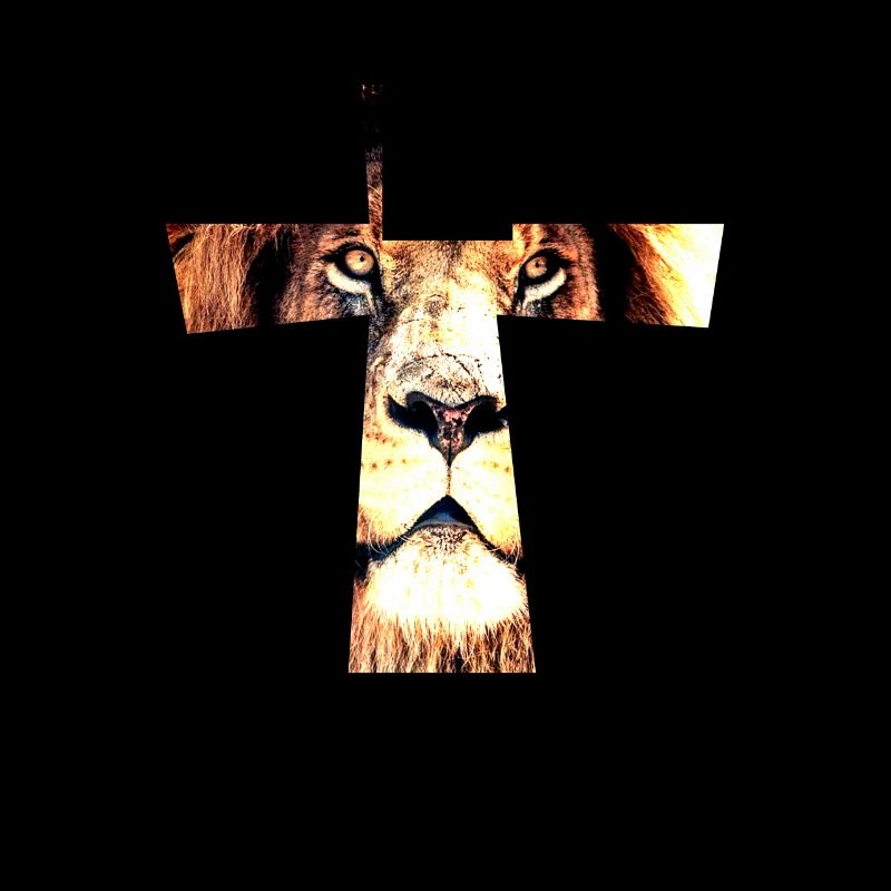 idée cadeau anniversaire croix de lion