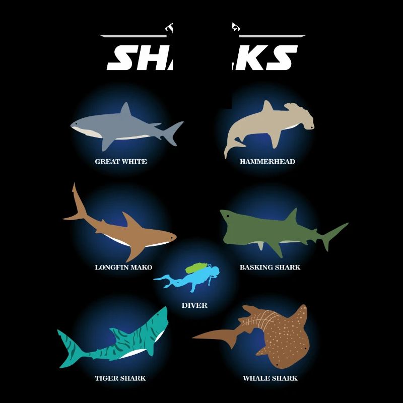 Espèces de requins types de requins, requins marteaux, plongeurs