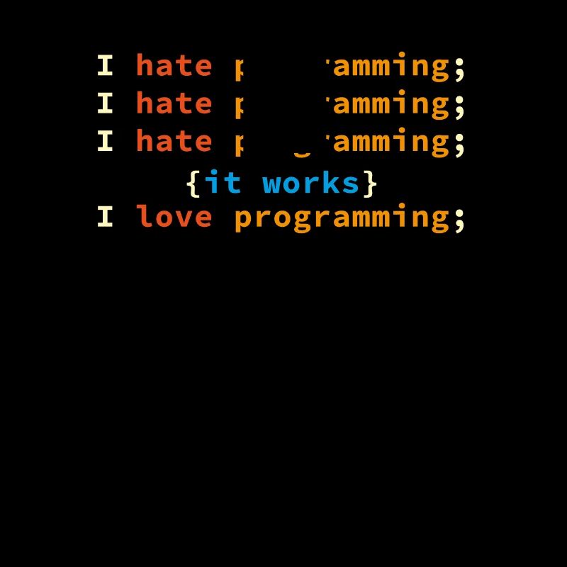 Programmierer Entwickler Informatiker Geek