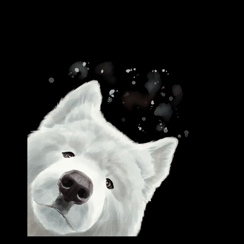 Curious Samoyed Dog