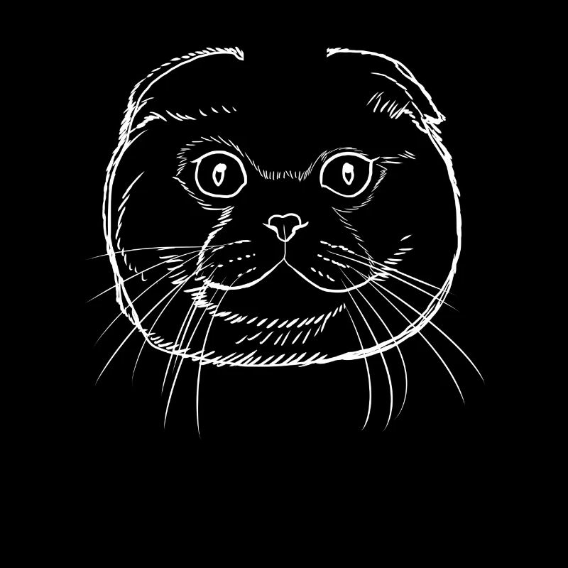 Scottish Fold Katze