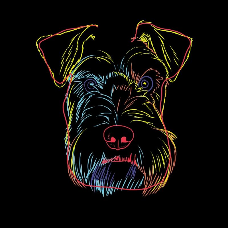 Bunte Schnauzer Hund