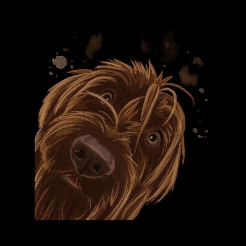 Curious Wirehaired Pointing Griffon Dog