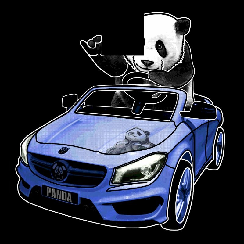 panda im auto geschenkidee