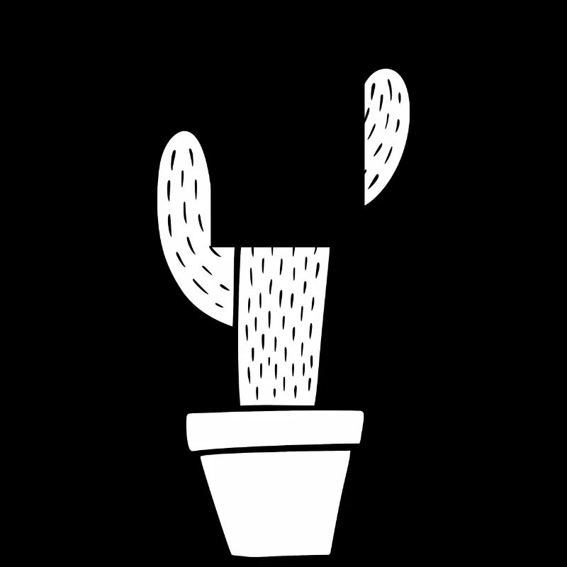 Cactus en pot