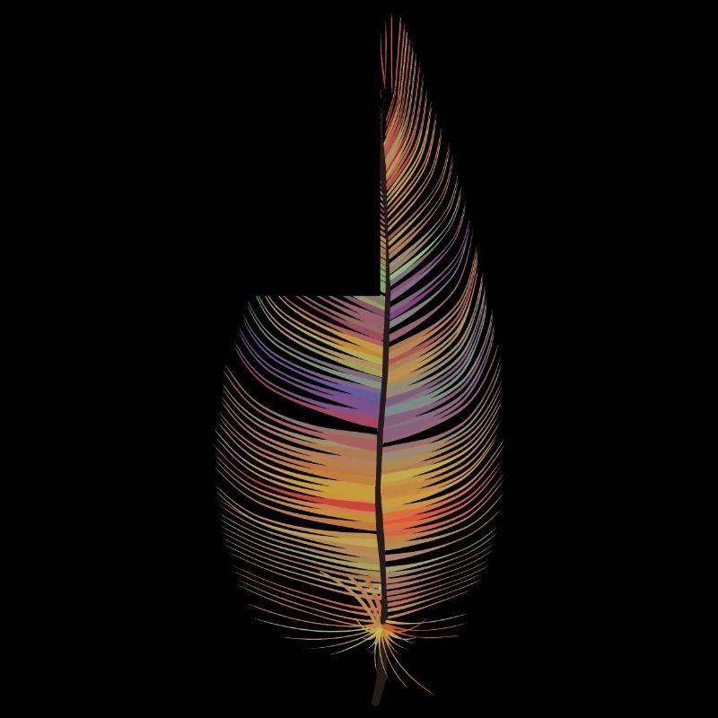 colored feather