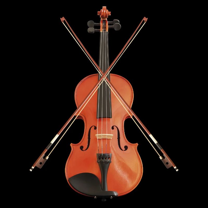 Violon avec archets