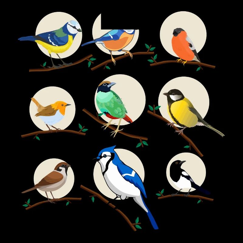 oiseaux, oiseaux, mésanges,