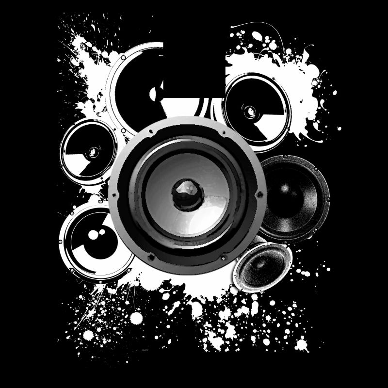 Construction haut-parleur haut-parleur Hifi classe de référence techno