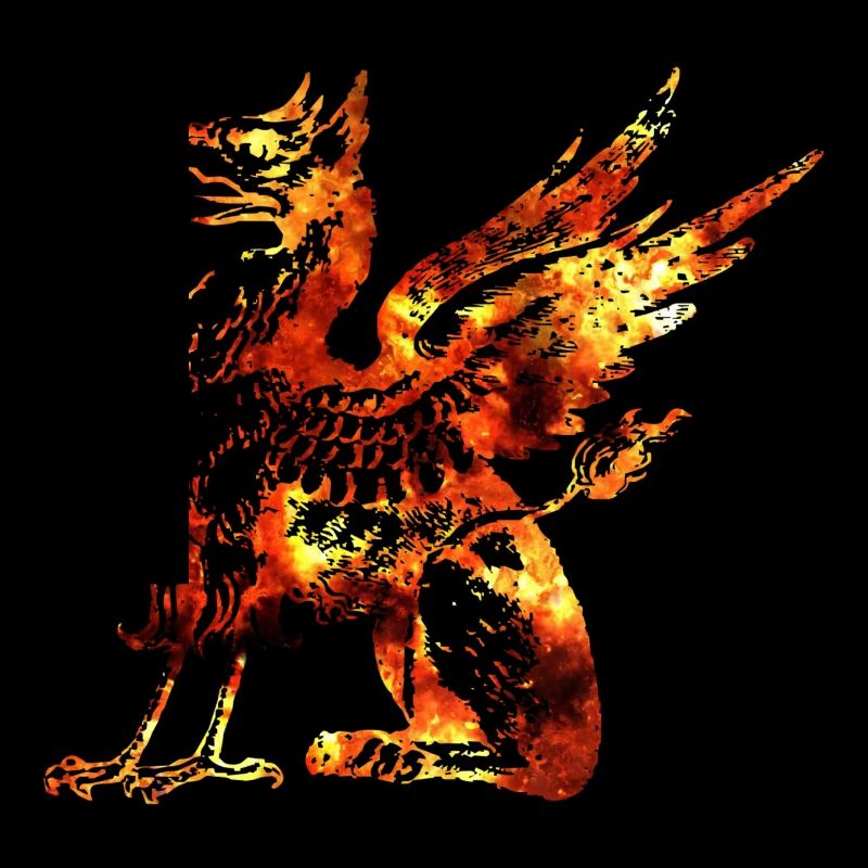 Drache