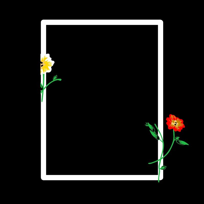 White frame with floral decoration