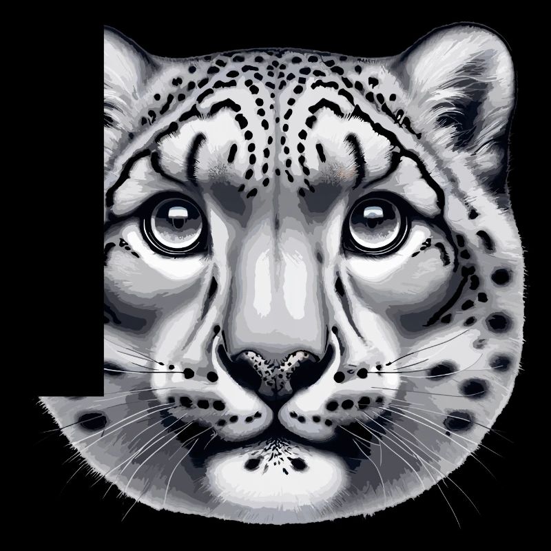 Snow Leopard Leopard White Leopard