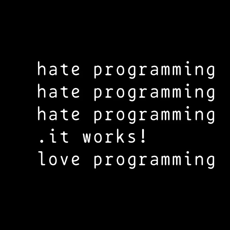 I hate programming gift idea