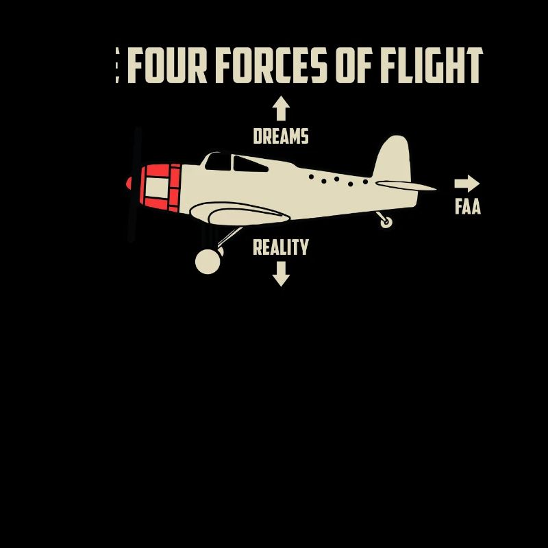 Flugzeug