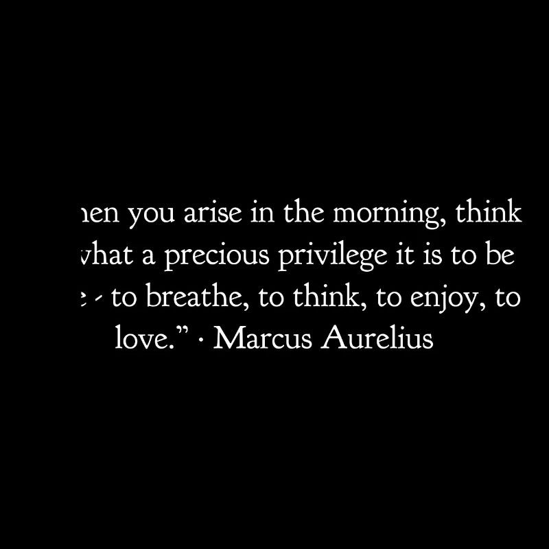 Quand tu te lèves le matin Marcus Aurelius