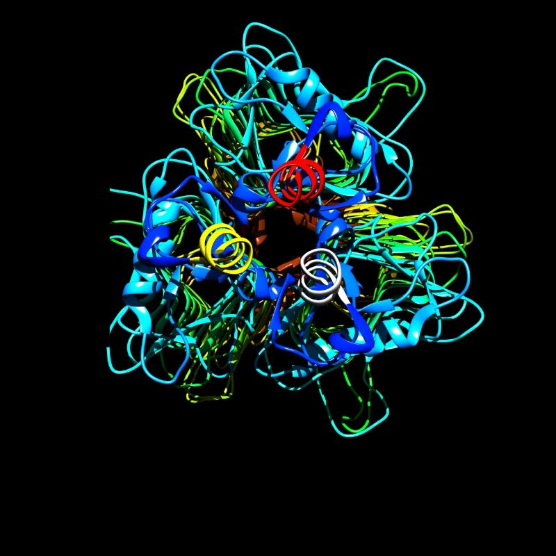 Native Tailspike Protein Molécule Bactériophage