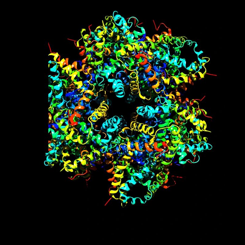 Cool Protein Molecule Chemistry Nerd Hemoglobin