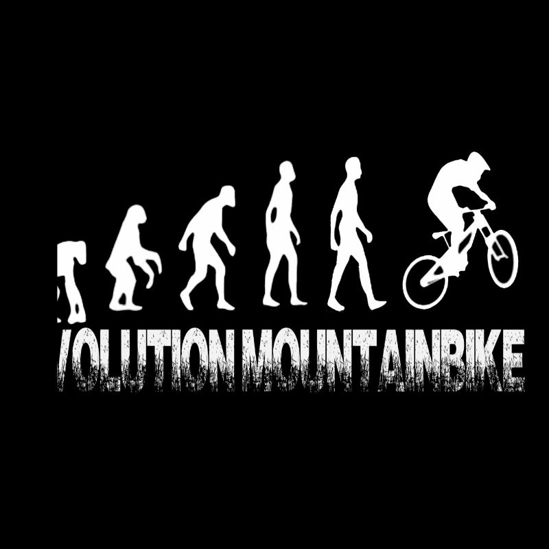 VTT Evolution - du singe au motard
