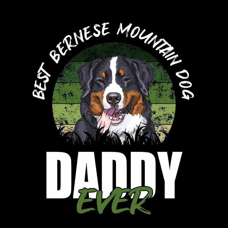 Bernese Mountain Dog