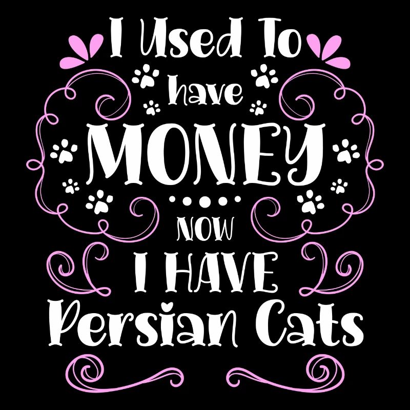 Cat House Tiger Cat Mom