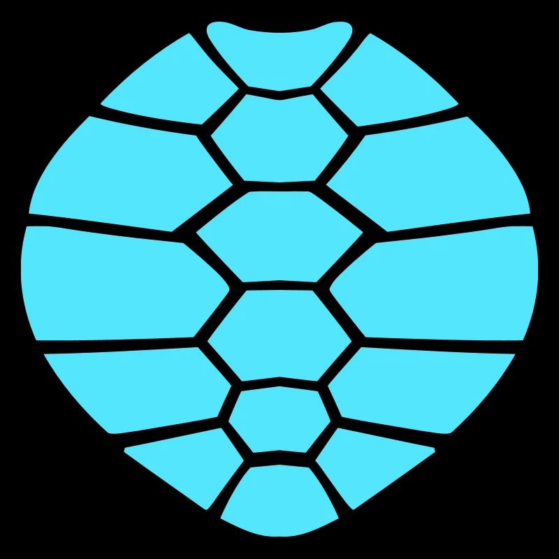 Turtle shell pattern turtle icon cool