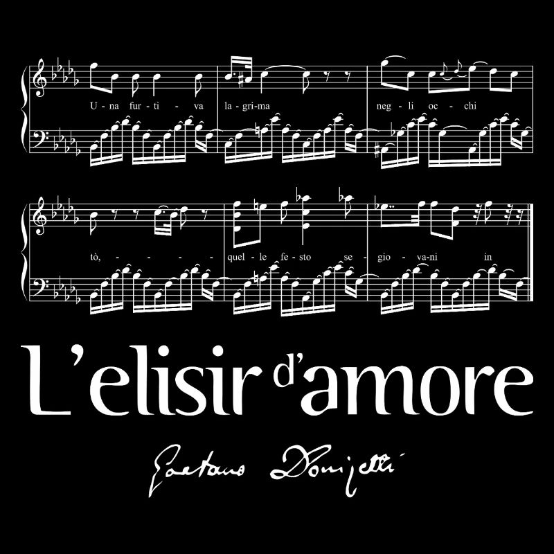 L'elisir d'amore 2
