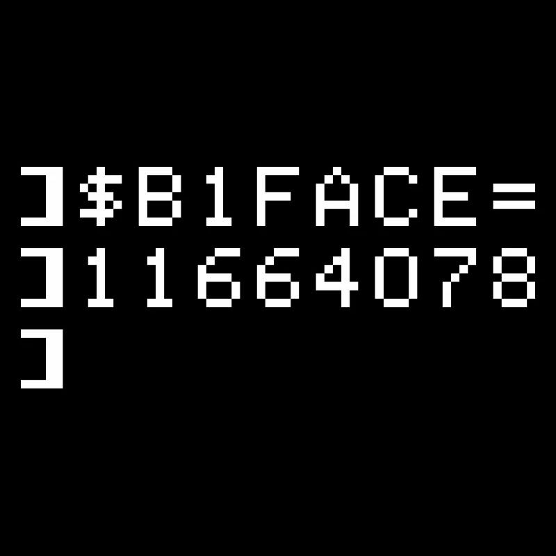 B1FACE Biface Code hexadécimal 8 bits Geek