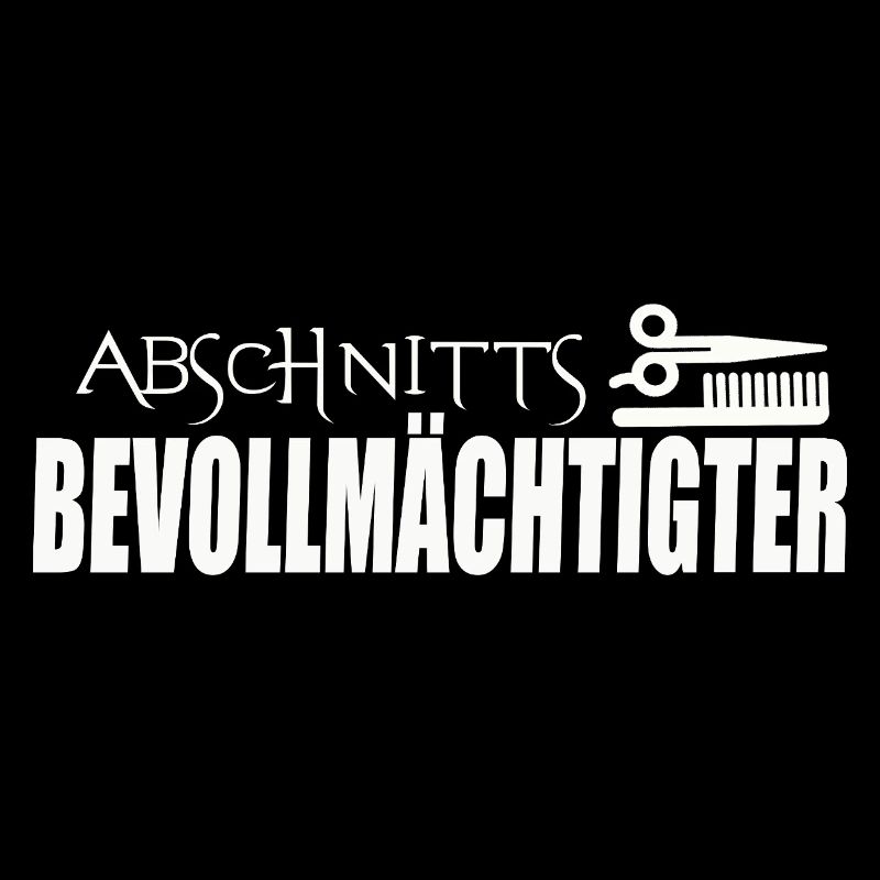 ABSCHNITTSBEVOLLMÄCHTIGTER