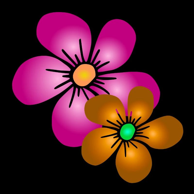 bouquet de fleurs coloré fleurs vrille florale floral
