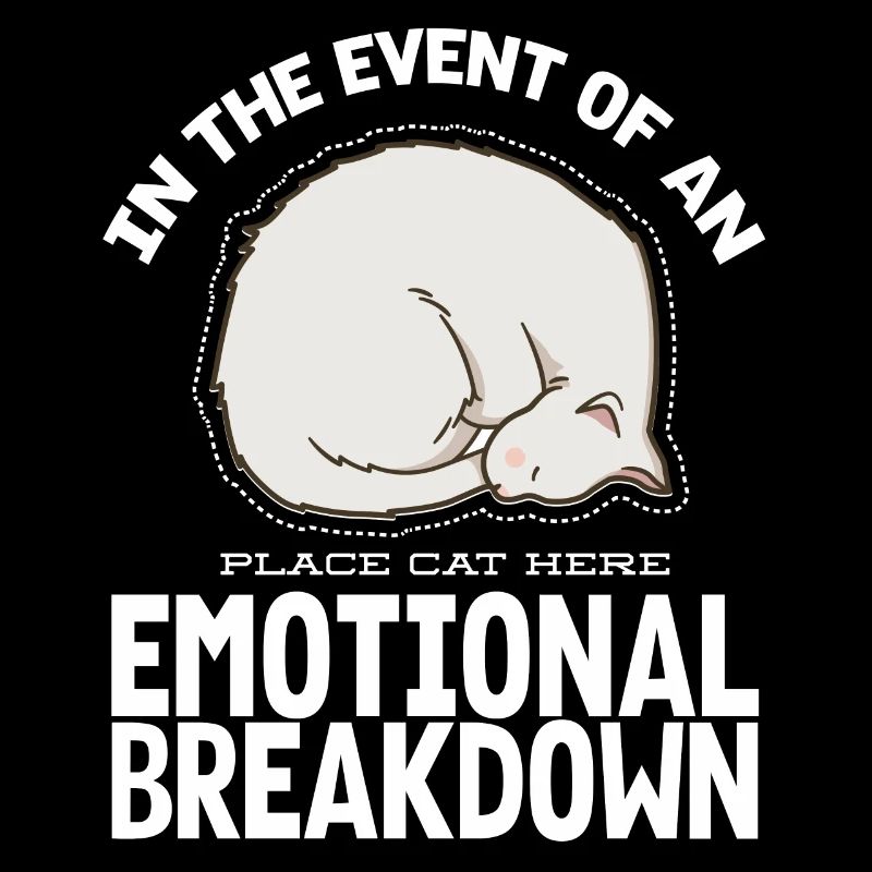 Emotional Break Down Place Katze Hier, Katze