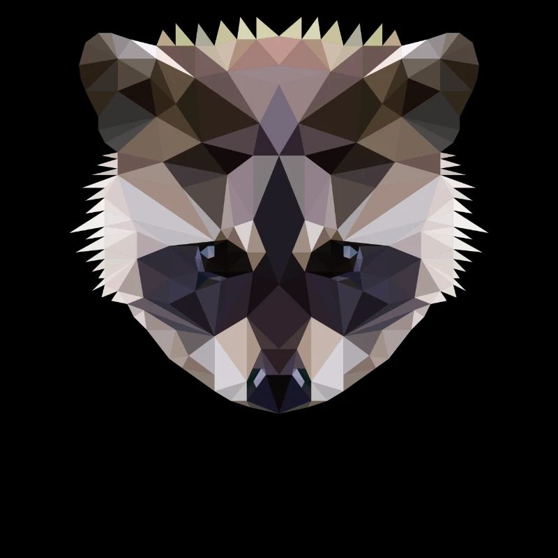 Polygon Waschbaer Racoon