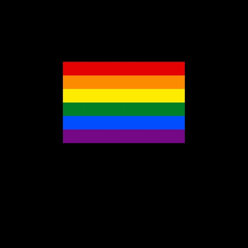 Drapeau arc en ciel bannière CSD LGBT tolérance colorée