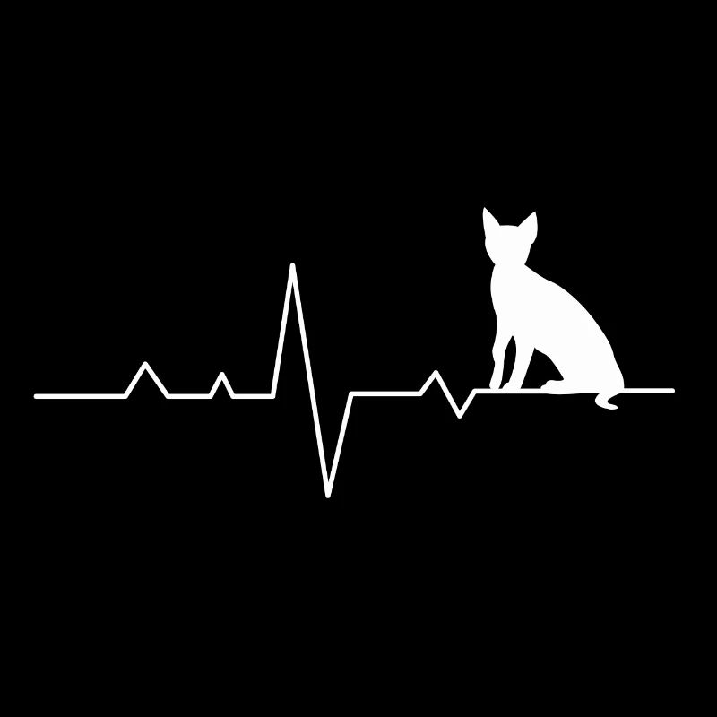 Chat avec ecg courbe - Amour du chat, fan de chat