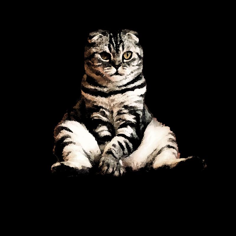 Chats, chat assis, chat