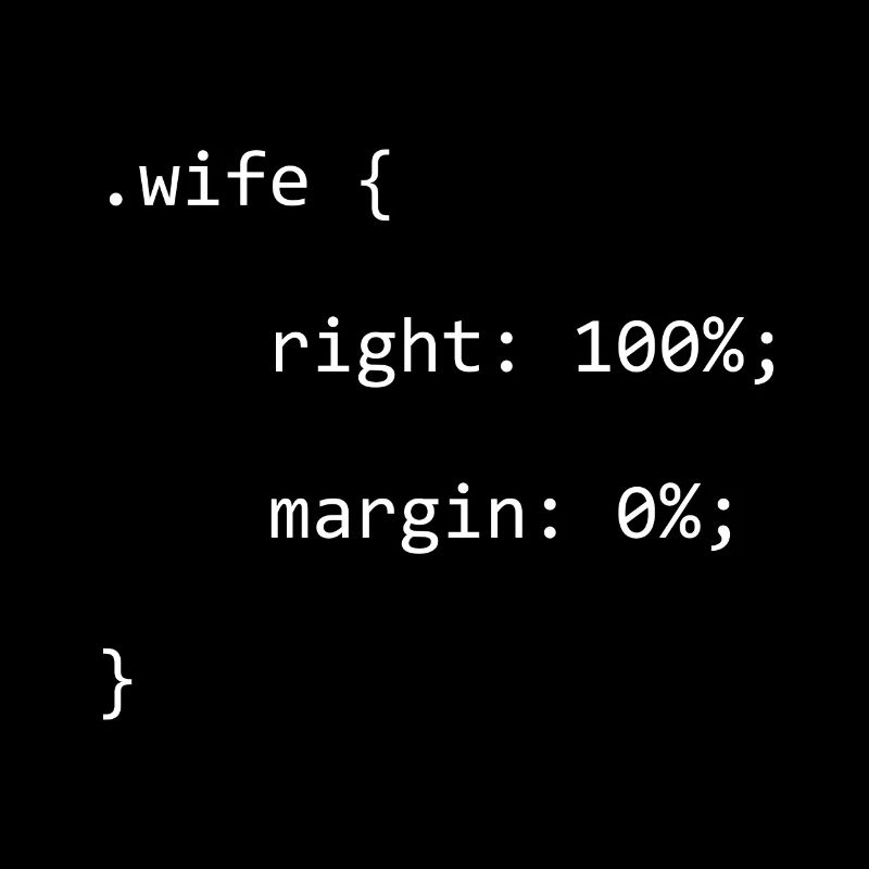 CSS Wife Right Softwareentwickler Developer