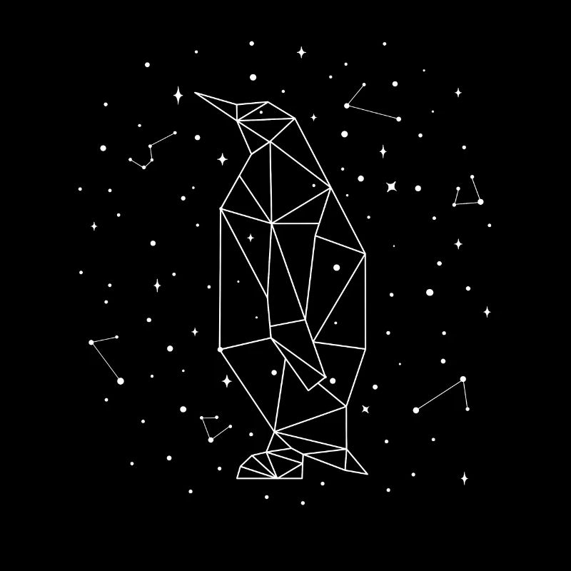 Sternbild Penguin Constellation Seevogel Pinguin