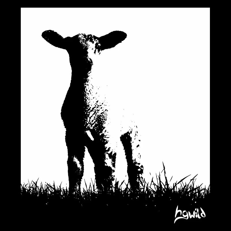 Ostfriesland-Kollektion: Deich-Lämmchen