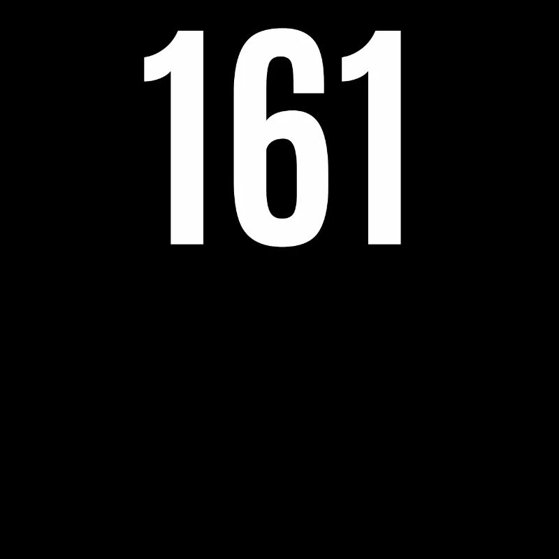 161 one hundred and sixty-one style - VINTAGETEAMNR
