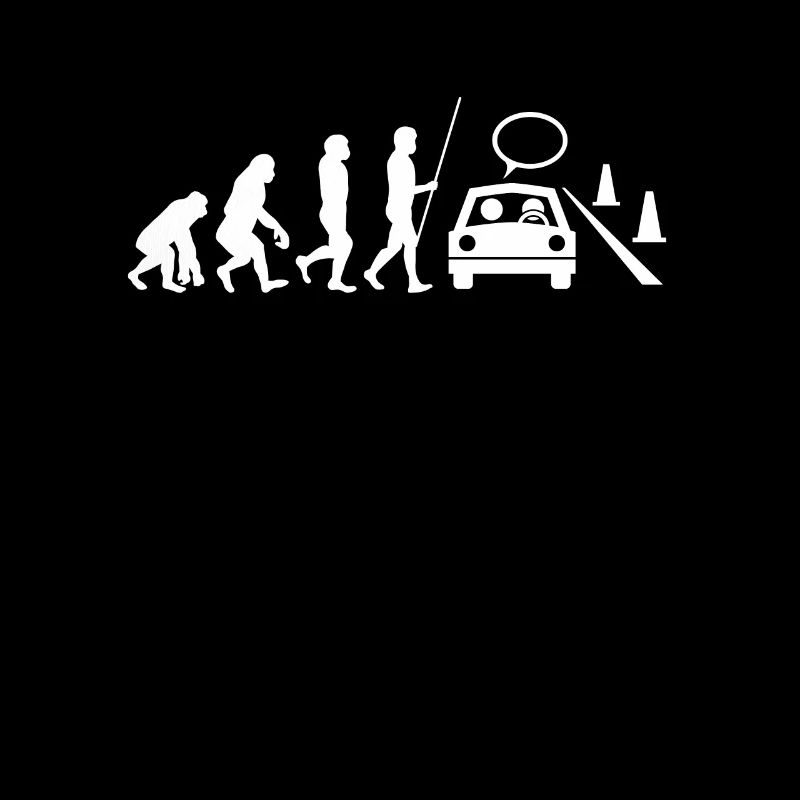 Driving Instructor Driver Car Parking Exam Driving