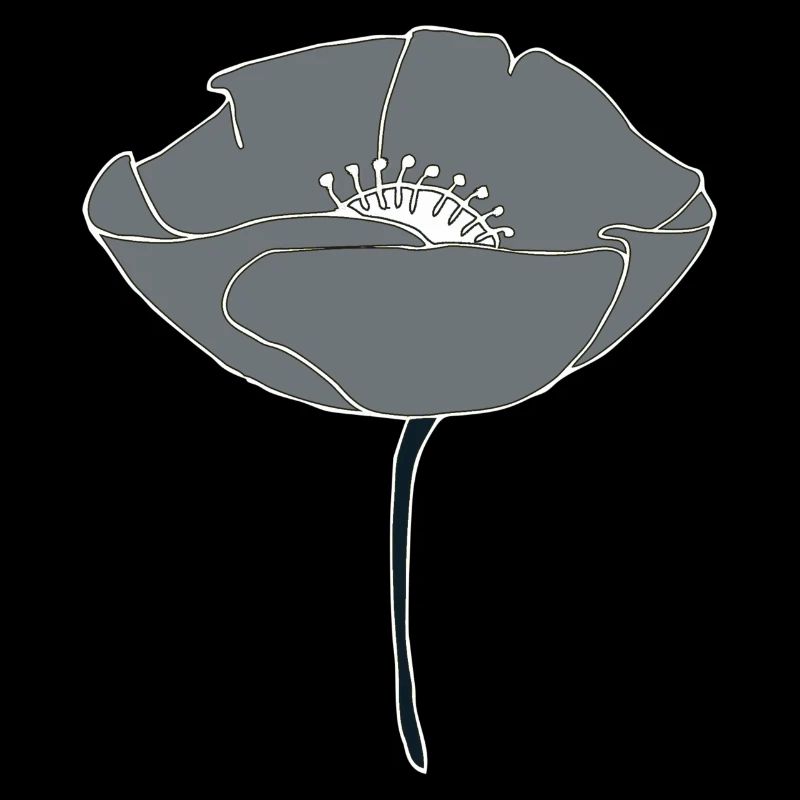 mohnblume grau