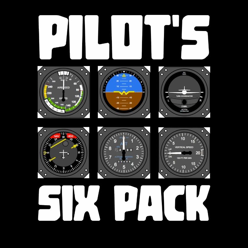 Pilot six-pack gift idea