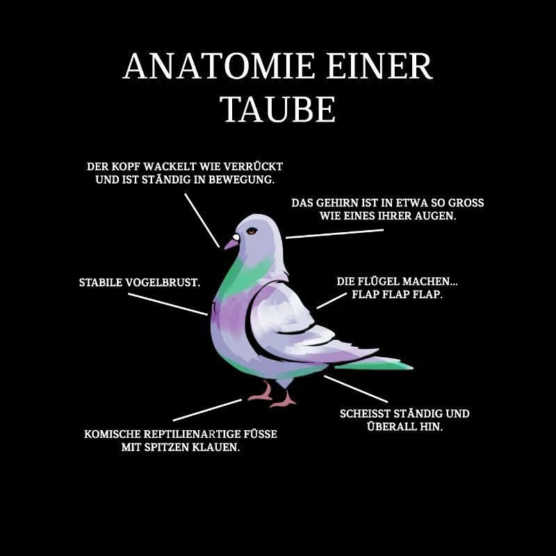 Anatomie einer Taube - Brieftaube Tauben Flüsterer