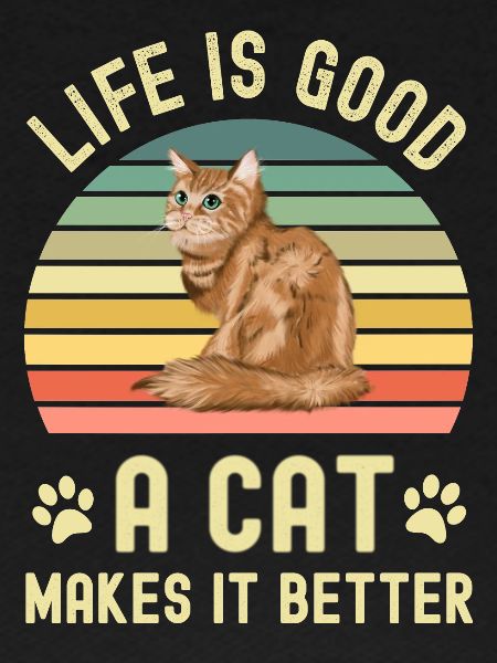 Chats Chats