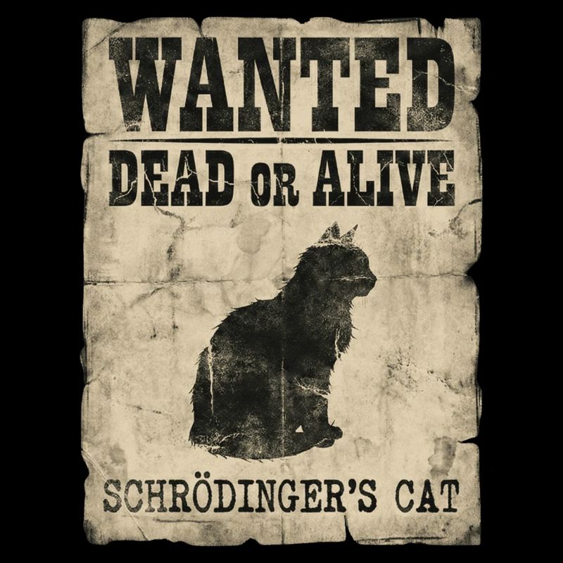 Schrödingers Katze gesucht Tot-oder-lebendig Physik-Wortspiel
